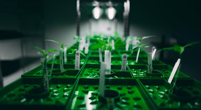EXCLUSIVE: Simplifya's Marijuana RegTech Solutions Reach Minnesota