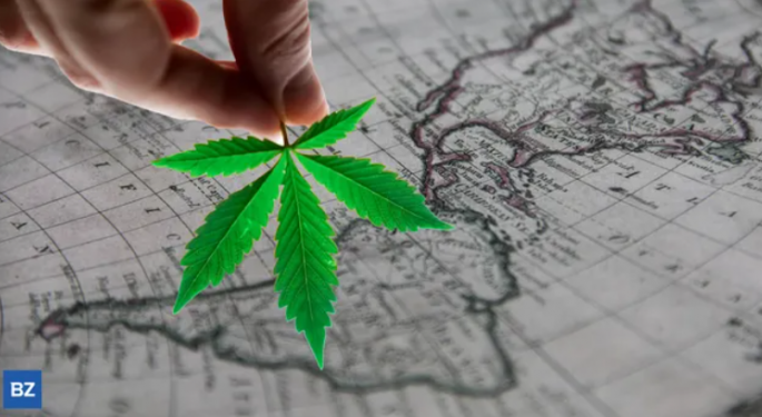 Lat-Am Hemp Companies Oppose Hemp Seizure, Say Protocol Delay Hurts Entrepreneurs