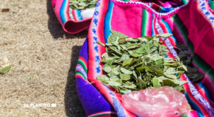 Colombian Government Could Allow Coca Plantations: Biden Weighs In