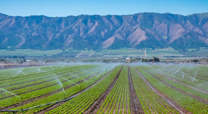 Salad Prices Are Soaring. An Unusual Culprit May Be To Blame