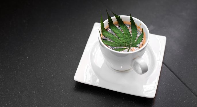 5 Things Weed Lovers Can Do To Improve Their Experience And Life In 2023
