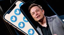 Musk despide a más personal de Twitter que modera contenido global