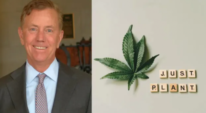 On The Eve Of Legal Weed Launch, CT Gov. Lamont Introduces Automatic Expungement Technology