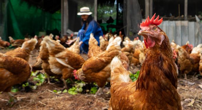 Did Bill Gates Foresee The Egg-tastrophe? Prices Soar As Other Goods Are Plummeting
