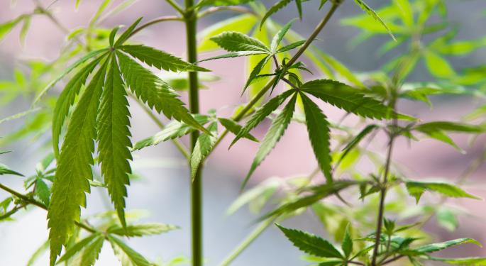 Legal Cannabis Industry Is 'Bleeding To Death' In Oklahoma, Gov Suspects Thousands Of Illicit Operators