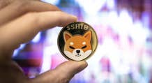 Shiba Inu supera Litecoin mentre sale del 19%