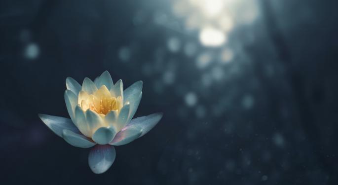 How Does It Feel To Be High? Psychiatrist Explains Why The Experience Resembles Meditation