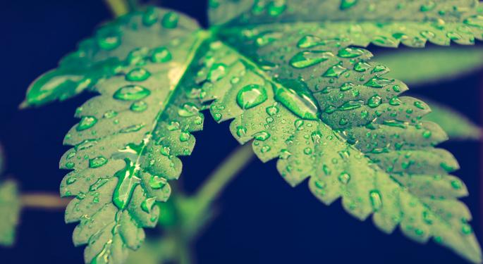 Cannabis Can Boost Sexual Desire And Intensify Orgasm According To New Study