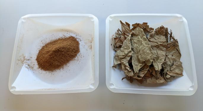 EXCLUSIVE: Defining 'Natural' Psychedelics, State Regulations & Ayahuasca's Benefits