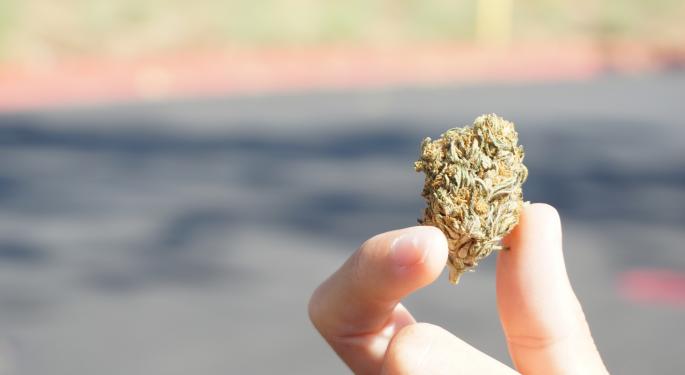 Discrimination In Cannabis Industry? Despite Social Equity Goals, Struggles Persist, Illinois' Disparity Study