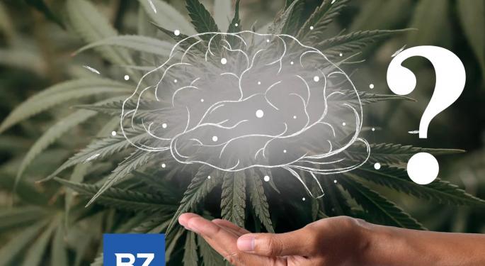 Psychosis-Related Outcomes Not Linked To State Cannabis Legalization, Finds Study Of 64M Americans