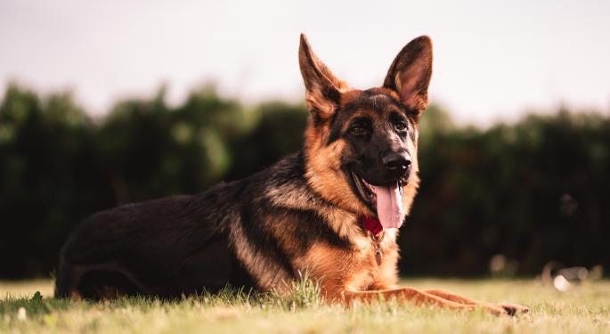Minnesota State Sen. Opposes Marijuana Legalization: It Could Put Drug-Sniffing Dogs Out Of Work