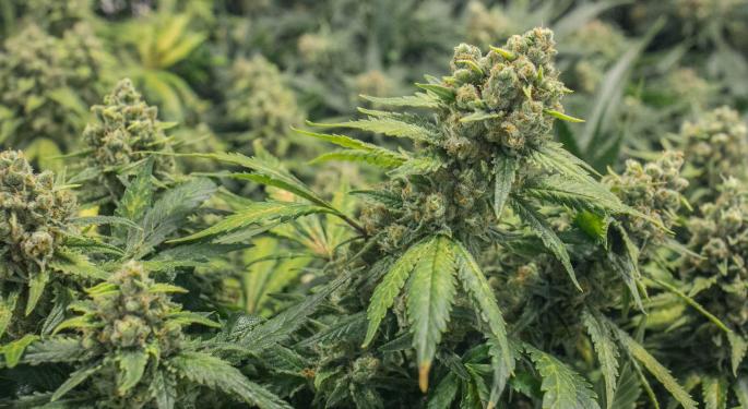 Meet Midwest Cannabis Pioneers: Hear From Jared Maloof, CEO Of Ohio's Standard Wellness