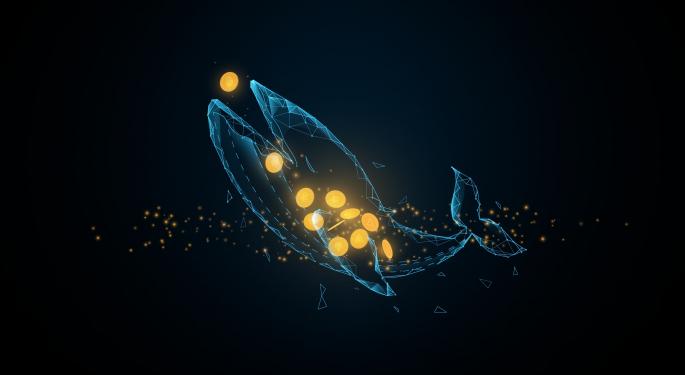 I dati on-chain rivelano un’attività “strana” delle balene