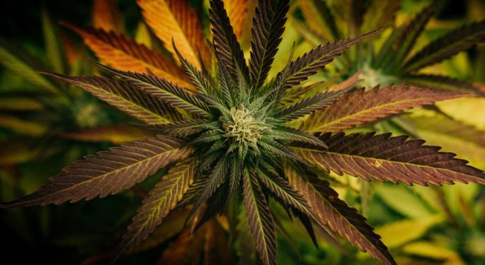 This Cannabis Company Will Likely Beat Q4 Estimates Says Analyst