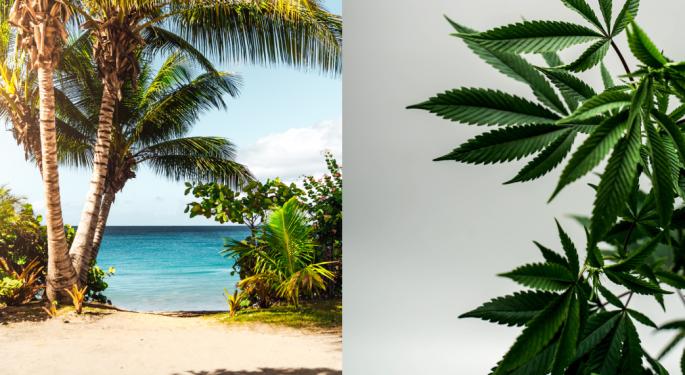 Hawaii One Step Closer To Ending Pot Prohibition: Senate Advances Legalization & 2 Psychedelics Bills