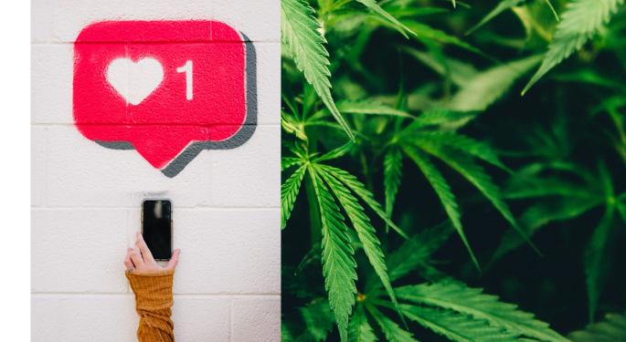 Marijuana Content Unfiltered: High There Is The New Way To Connect With Cannabis Community