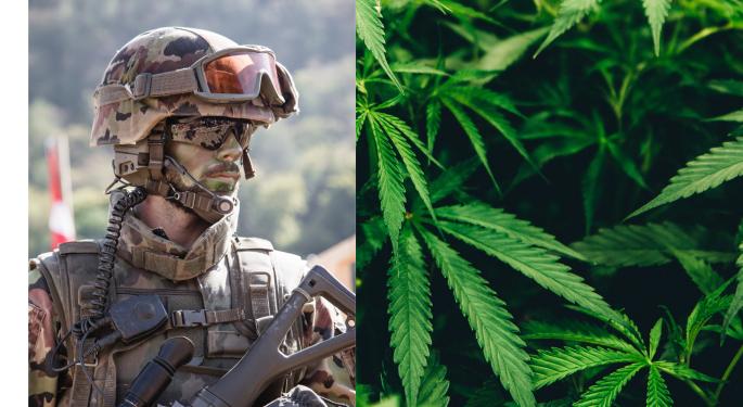 Marijuana Use In The Military: What Do Drug Test Results Show?