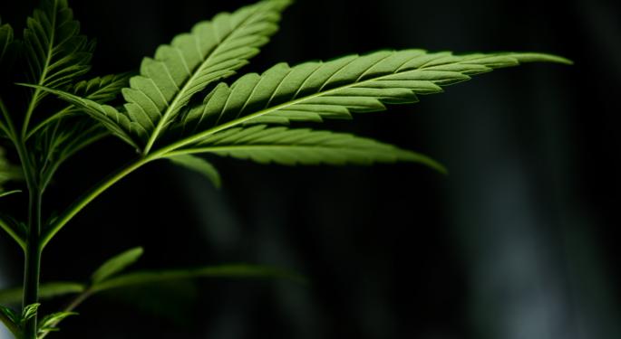 The Great Misconception About The Potency Of Cannabis Products