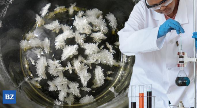 Could DMT Therapy Be The Future Of Brain Injury Treatment? This Study Has Promising Results