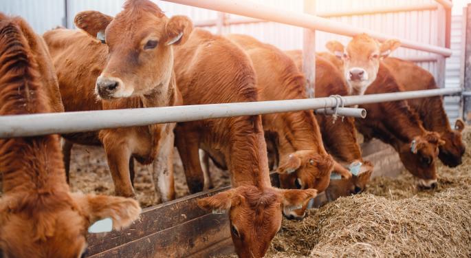 Bill Gates Takes Aim At Large Cattle Farms With Latest Investment As The Billionaire Looks To Take On Global Warming Through Reducing Methane Output