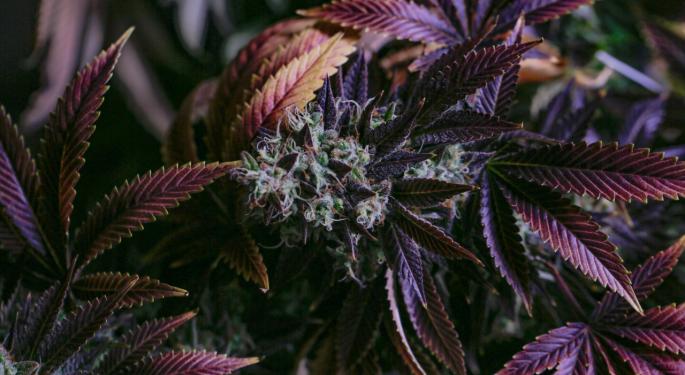 Tilray's Good Supply Launches New Product Lineup For 420