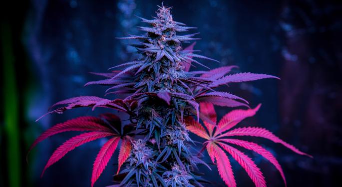 EXCLUSIVE: BDSA Analyst Digs Into New Cannabis Markets, Behaviors, Trends, Social Bonds On 4/20