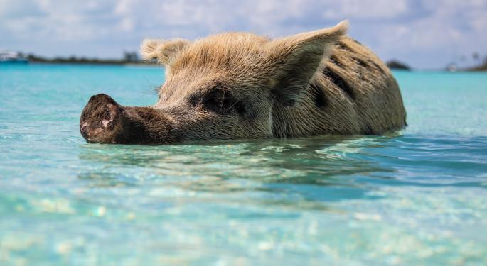 Crypto influencer In FTX Case Says Bahamian Pig Tweet Was A Joke As Judge Warns Him To Be Careful