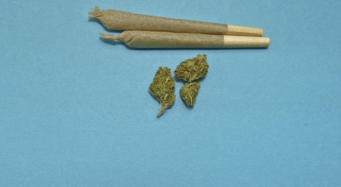 Australian Cannabis Activists Speak Out Against THC Ban, Want Drug Policy Reform