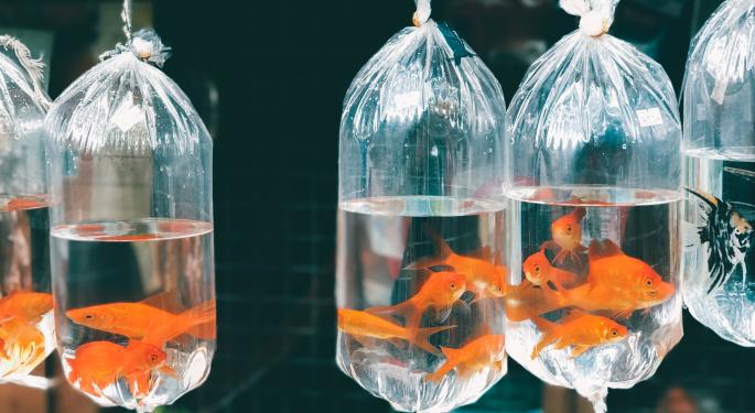 Gensler's Goldfish Theory On Crypto Compliance