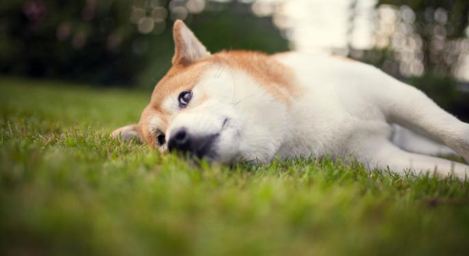 Throwback: When WallStreetBets Banned Bitcoin, Ethereum, Dogecoin Discussions Due To 'Bows To Crypto' Gibe