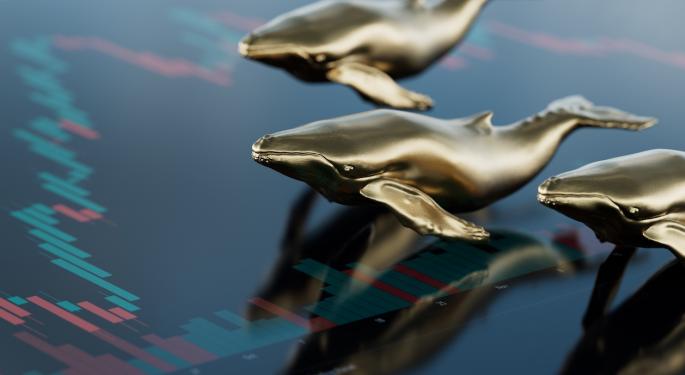 PEPE Whales Swimming In Millions: Top 15 Holders Make Mind-Blowing Profits