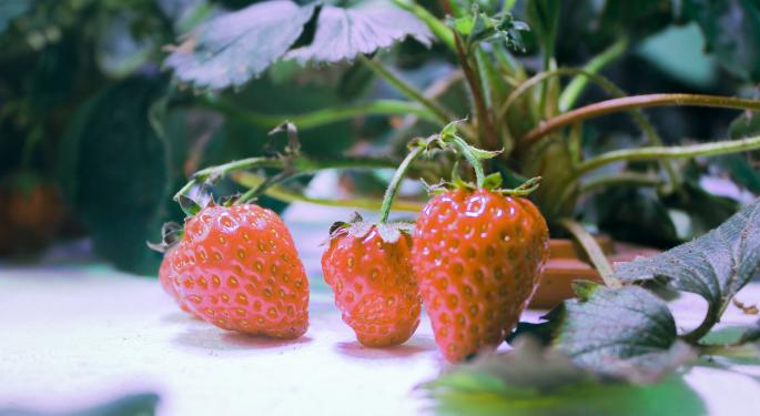 Hydroponic Retailer GrowGeneration Posts $56.8M In Q1 2023 Revenue