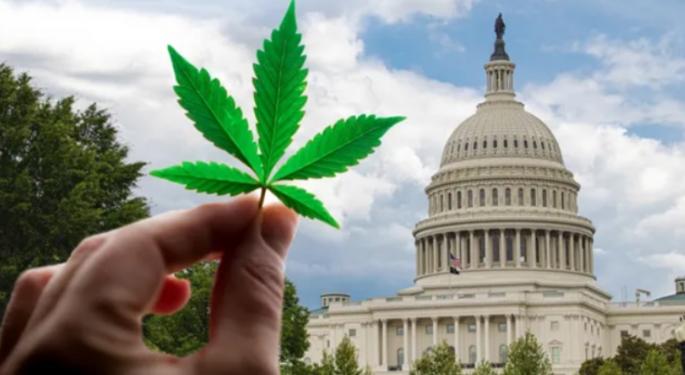 Senate Finally Addresses Banking Reform For Billion-Dollar Cannabis Industry, What Took So Long?