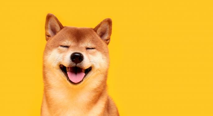 Massive Shiba Inu Endorsement? New Twitter CEO's Account Shows Major Crypto Hint