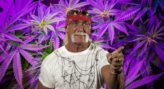 Hulk Hogan Talks Cannabis, Will Launch His Own Brand: At Age 69, 'I Feel Better Than I've Ever Felt... Like I'm 25 Again'