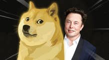Elon Musk recomienda no apostarlo todo a la criptomoneda Dogecoin