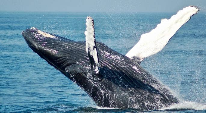 Ballenas cripto aprovechan oportunidades tras demanda contra Binance
