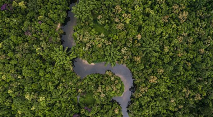 Children Found Alive In Jungle 40 Days After Plane Crash