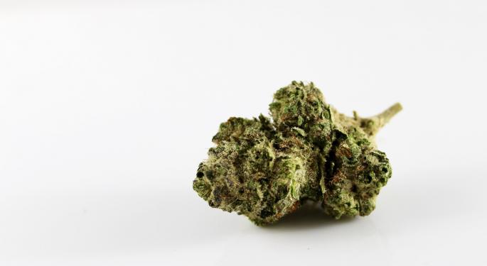 Should You Check-In Or Carry-On Your Weed? Airline Staff Caught Stealing Massive Amounts Of Cannabis From Checked Bags