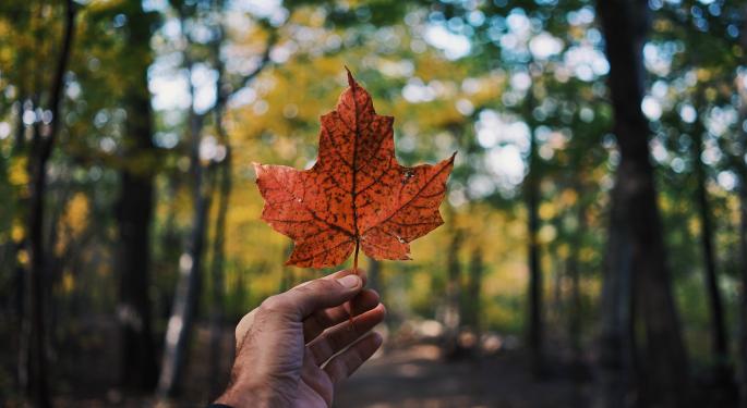Cannabis Sales In Canada Drop By 20% While Pre-Roll Products Increase Market Share