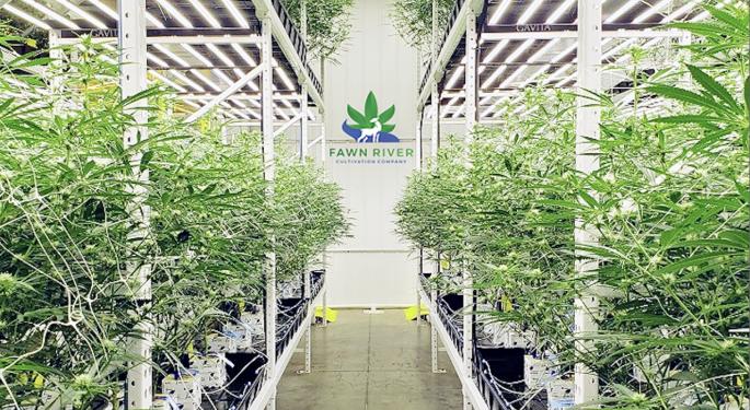 Fawn River Cultivation Company And BioLumic Team Up 'To Redefine Cannabis Market Dynamics In Michigan'