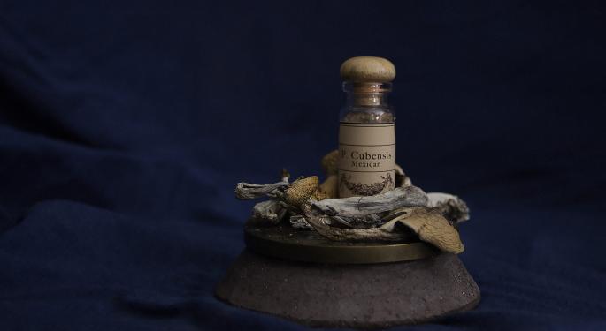 Berkeley Officially Decriminalizes Possession Of Psilocybin Mushrooms And Ayahuasca