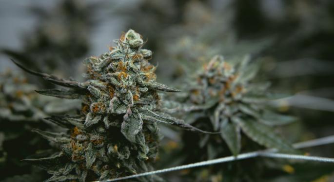 North American Cannabis Consumers Decreased Spending In Q2 By 9.8% YoY,  springbig Market Data Report