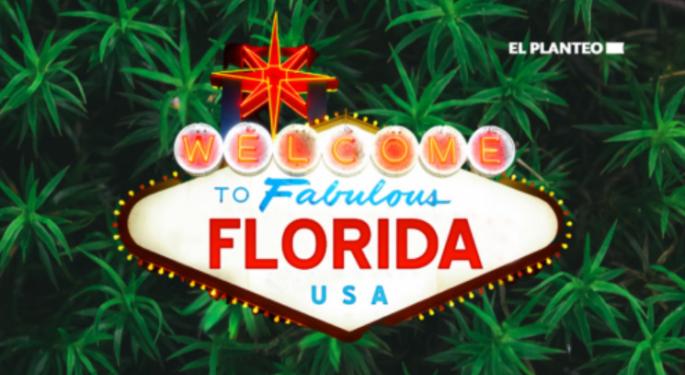 The Fight For Florida's Green Gold: Will 2024 See Marijuana Legalized?