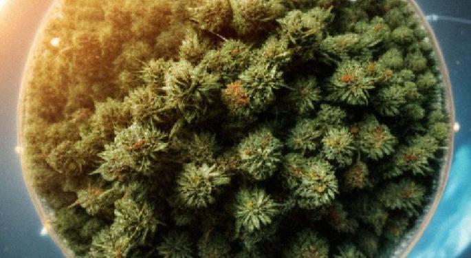 Global Cannabis Updates: Colombian Lawmakers Renew Push For Legalization, Australia's Tourism Concerns, Canada Cannabis Stores & More