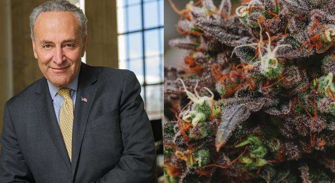 Schumer Confirms Progress On Cannabis Banking Bill And More Regulatory Updates