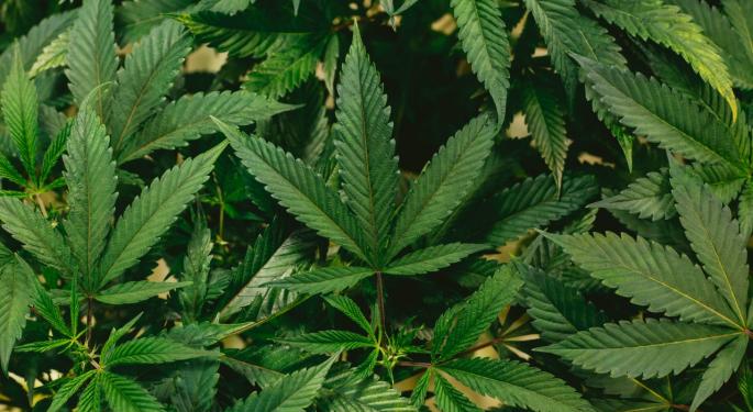 Snoop Dogg, Rick Ross, Cheech & Chong Hemp Products To Launch In Puerto Rico