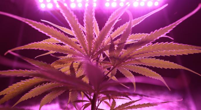 This Pot Stock Says Goodbye To New York And New Mexico Markets As Its Net Loss Grows In Second Quarter