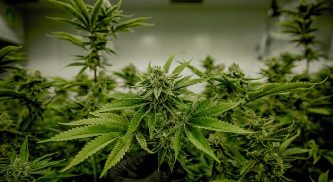 Greenlight To Acquire Cannabis Dispensary And Cultivation Facility, Issues Q3 Dividends